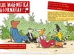 Che magnifica giornata!