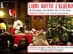 Locandina della Festa