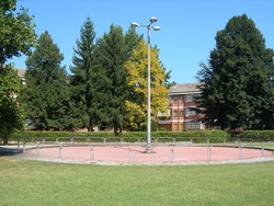 Pista di pattinaggio — Via Fenoglio