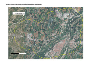 La "zona cuscinetto"