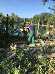 Volontari al lavoro