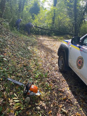 Volontari durante la rimozione degli alberi caduti (1)