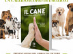 Il cane, un caleidoscopio di emozioni