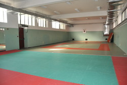 Elementare 1° Circolo - Via XX Settembre - arti marziali