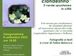 Mostra | Verde clandestino