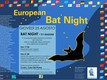 Locandina Bat Night 2016