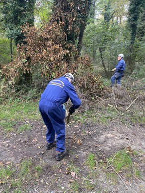Volontari durante la rimozione dell'albero caduto (2)