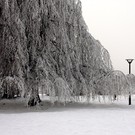 Parco della Resistenza - foto di Pier Renzo Lingua®