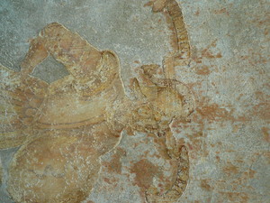 affresco tardo medioevali emerso sul fabbricato di Contrada Mondovì 5