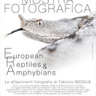 European Reptiles Amphibians