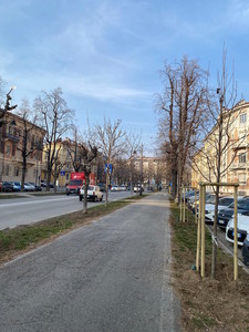 immagine dei lavori di messa a dimora degli alberi nel primo tratto di Viale Angeli