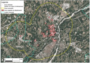 area interessata dal monitoraggio