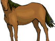 Cavallo