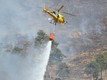 Incendio boschivo