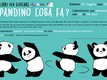 Pandino cosa fa?