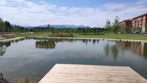 Il laghetto di Parco Parri