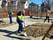 Primi migranti al lavoro a Borgo San Giuseppe