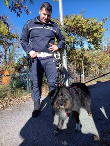 immagine relativa all’intervento di salvataggio del cane da parte della Polizia Locale di Cuneo