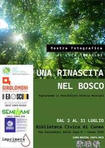 Una rinascita nel bosco
