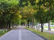 Immagine Viale angeli