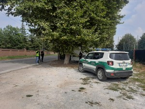 Interventi della Polizia Locale di Cuneo nel parco fluviale, giardini cittadini e zona San Paolo di Cuneo