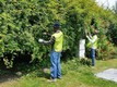 Migranti al lavoro nei giardini C. Invernizzi