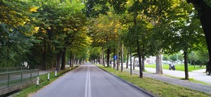 immagine viale angeli