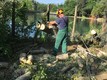 Volontari al lavoro