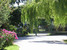 Foto canile municipale