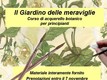 Il giardino delle meraviglie