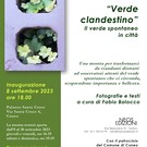 Verde clandestino