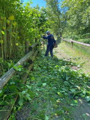 Manutenzione percorso coclonaturalistico - 1