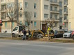 immagine dei lavori di messa a dimora degli alberi nel primo tratto di Viale Angeli
