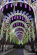 Illuminata 2015
