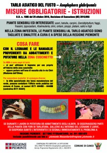 manifesto Attività di contrasto al Tarlo asiatico del fusto