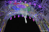 Illuminata 2015