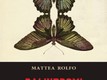 Palindromi | Mattea Rolfo