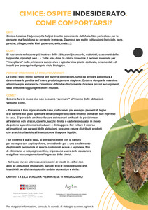 Scheda informativa per i comuni