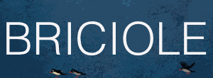 scrittorincittà