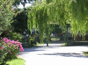 Immagine canile municipale