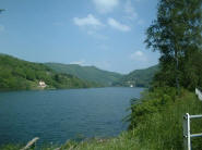 Osiglia