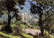 Pamparato