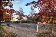 Vignolo