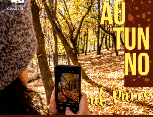 Ottobre Al Parco