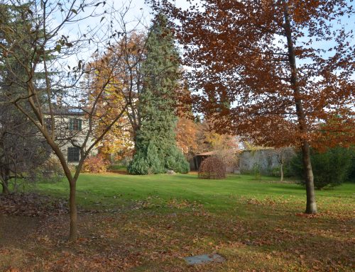 Visite Al Giardino Di Villa Oldofredi Tadini