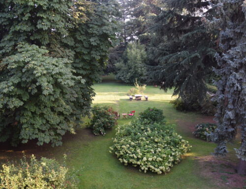 Visita In Villa E Al Giardino